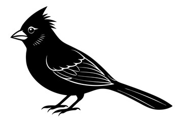 
Cardinal bird vector silhouette, cardinal bird animal black vector icon
