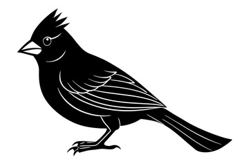 
Cardinal bird vector silhouette, cardinal bird animal black vector icon
