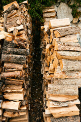 Rustic woodpile beside lush green bush and tree in natural setting