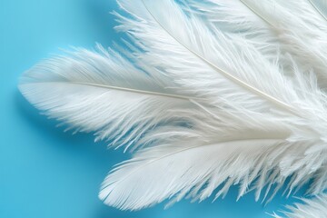 A beautiful pastel white baby blue feather pattern texture for wallpaper and other decorative uses