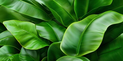 A beautiful tropical seamless pattern with palms and banana leaves. A hand-drawn vintage 3D illustration. A glamorous exotic abstract background design. Ideal for luxury wallpapers, cloth printing,
