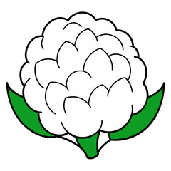 Vector Illustration of a Head of Cauliflower for Healthy Eating and Nutrition Design

