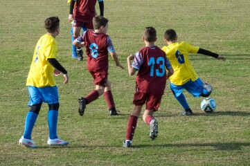 Obraz premium football