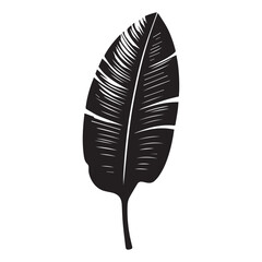 Leaf Silhouette Design - Plant leave vector illustration - Black Leaf Clipart 