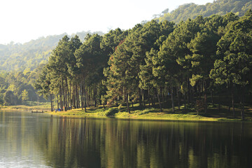 Public campsite at Huai Pang tong Reservoir at Pang Ung, Pang Tong Royal Development Project in Mae Hong Son, Thailand 