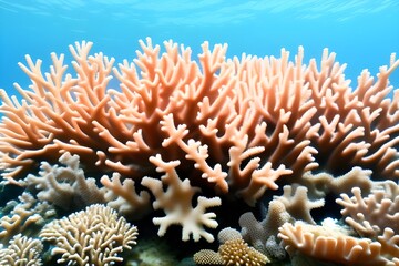 Vibrant Coral Isolated on White Background Generative AI illustration