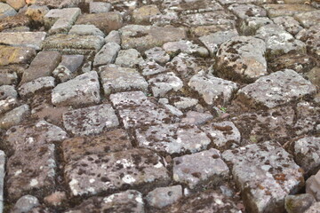 archaeological site of the Lurah temple on Mount Penanggungan