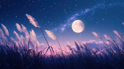 Fototapeta premium Full moon and Japanese pampas grass in midnight,The harvest Miscanthus sinensis and full moon,beautiful night sky in the countryside with the perfect moon exudes beauty in the dark.