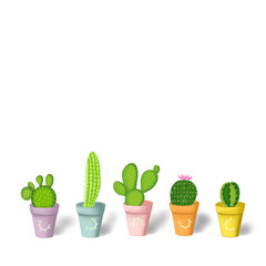 cactuses in pot