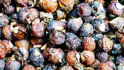 Sapindus rarak (Sapindus mukorossi, rerek, lamuran, Lerak). This fruit is made into a washing agent, a cleaner for various kitchen utensils, and soap.