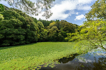 蓮ヶ池史跡公園 宮崎県宮崎市