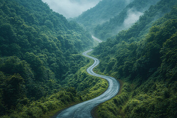 serene winding road through lush green forest landscape