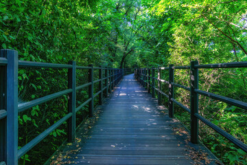 Walking trails in Seoul, South Korea