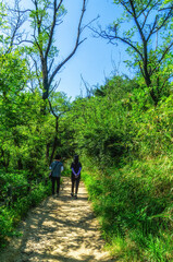 Fototapeta premium Walking trails in Seoul, South Korea