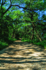 Walking trails in Seoul, South Korea
