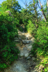 Obraz premium Walking trails in Seoul, South Korea