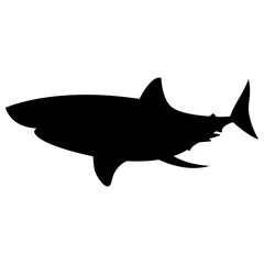 Shark Silhouette Vector
