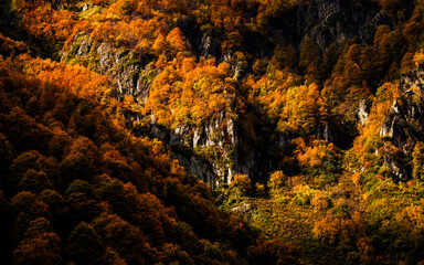 Autumn foliage blankets the mountainside in a stunning display during the fall season. Colorful trees exhibit hues of orange and yellow, highlighting the terrain of the mountains during autumn.