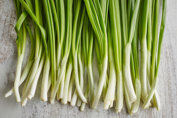 closeup of spring onions
