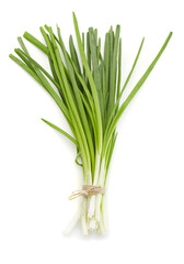 Spring onions on white background