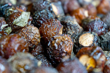 Sapindus rarak (Sapindus mukorossi, rerek, lamuran, Lerak). This fruit is made into a washing agent, a cleaner for various kitchen utensils, and soap.