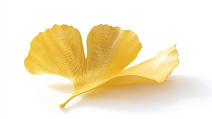 Naklejka premium Radiant Golden Ginkgo Leaf Study on White Background