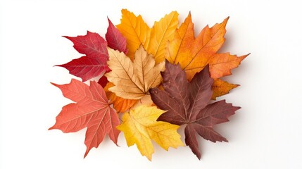 Vibrant Autumn Delight - Colorful Fall Leaves Circular Pattern on White Background Radiating Warmth and Joy