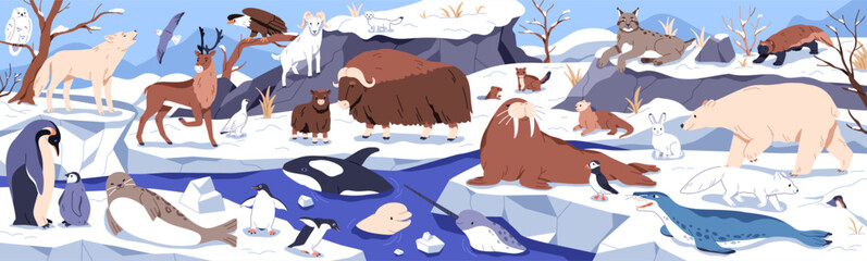 Arctic animals, North Pole landscape. Ice nature fauna, polar bear, muskox, penguin, walrus and seal. Antarctic biodiversity. Cold climate ecosystem with glaciers, wildlife. Flat vector illustration