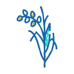 rice plant healthy doodle icon sketch vector. rice plant healthy sign. isolated symbol illustration