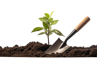 a shovel and a plant growing out of dirt