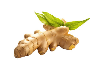 a ginger root with leaves