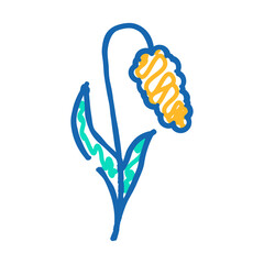 millet plant food doodle icon sketch vector. millet plant food sign. isolated symbol illustration