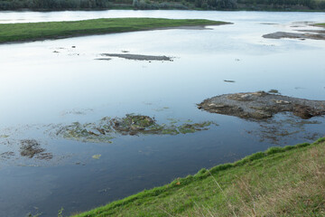 Beautiful rural landscape with green meadows and domestic animals in the Republic of Moldova. Country life with summer nature.