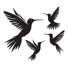 Birds silhouette