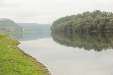 Beautiful rural landscape with green meadows and domestic animals in the Republic of Moldova. Country life with summer nature.