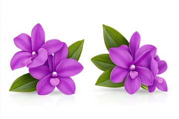 Obraz premium Vibrant purple orchids with lush green leaves on a white isolate background, perfect for floral designs and decor.