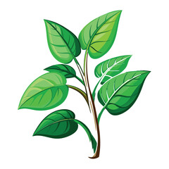 Vibrant green leaves on a thin brown stem with a white background