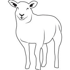 Sheep Animal Line Art Illustration