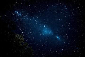 Obraz premium A dark sky with a few stars and a tree in the foreground. The stars are scattered throughout the sky, with some closer to the tree and others further away
