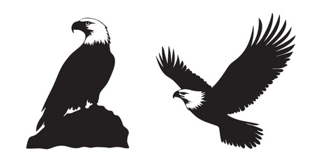 Obraz premium Bald eagle in flight silhouette vector icon