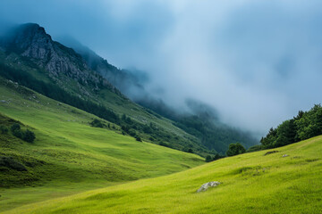 Fototapeta premium landscape in summer