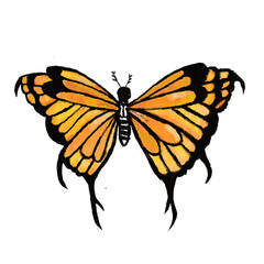 Orange butterfly