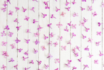 Fallen lilac blossoms