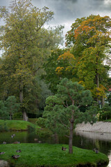 Obraz premium Autumn park landscape, first days of autumn