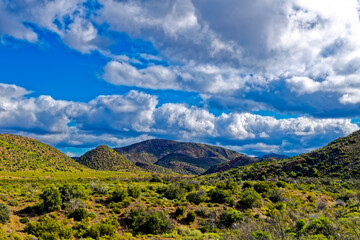 Landscape of green Little Karoo hills and clouds following rain near Calitzdorp in the Western Cape, South Africa