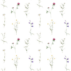 Watercolor floral seamless pattern in botanical rustic style, colored garden. Hand drawn print with meadow flowers: bluebell, buttercup, clover, chamomile. Repeat wallpaper with leaves and plants.