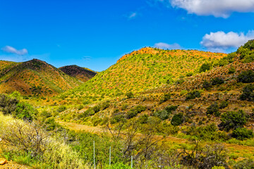 Steep green hills in the Little Karoo following rain near Calitzdorp in the Western Cape, South Africa