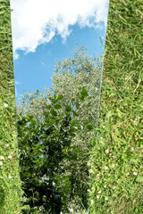 Fototapeta premium Mirror Reflecting Tree and Sky on green Grass