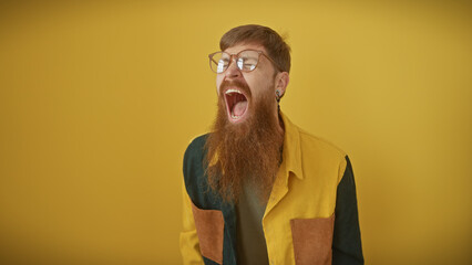 A bearded, young, redhead man screaming in a casual pose, isolated against a solid yellow background