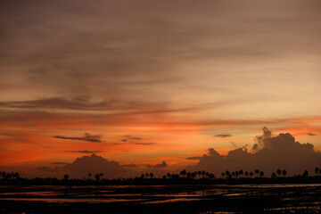 Beautiful orange sunset time sky  